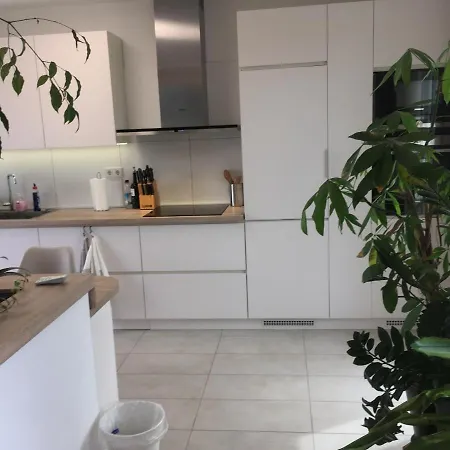 Beautiful Penthouse Apartment At Porta Nigra Appartement *